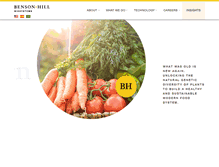 Tablet Screenshot of bensonhillbio.com